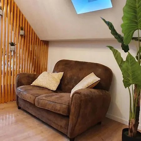 Hyper Centre Apartment