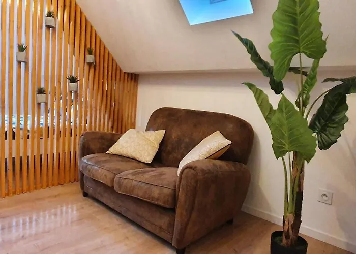 Hyper Centre Apartment