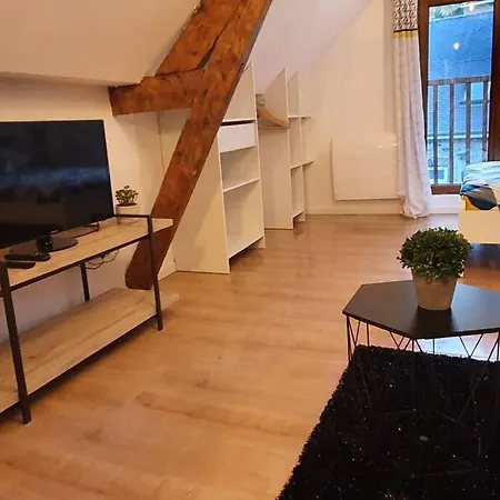 Hyper Centre Apartament Lourdes