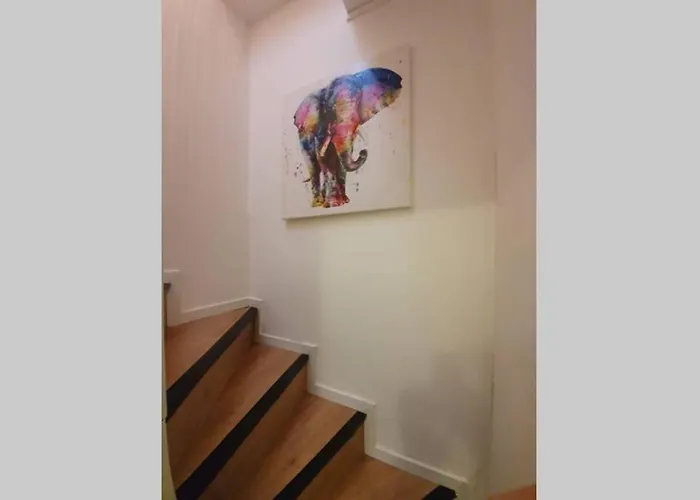 Appartement Hyper Centre