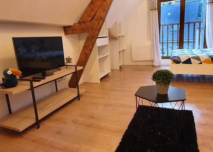 Hyper Centre Apartment Lourdes